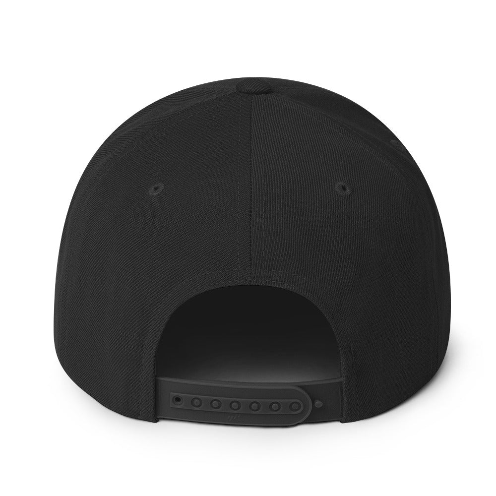 ALAP OG - Snapback Hat