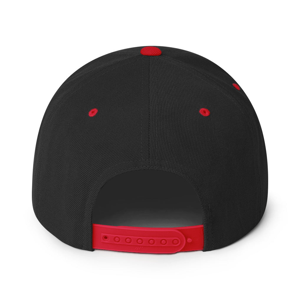 ALAP OG - Snapback Hat