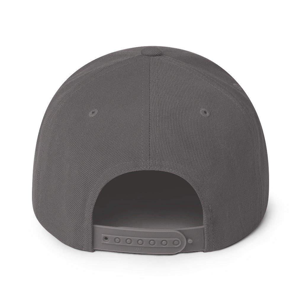 ALAP OG - Snapback Hat